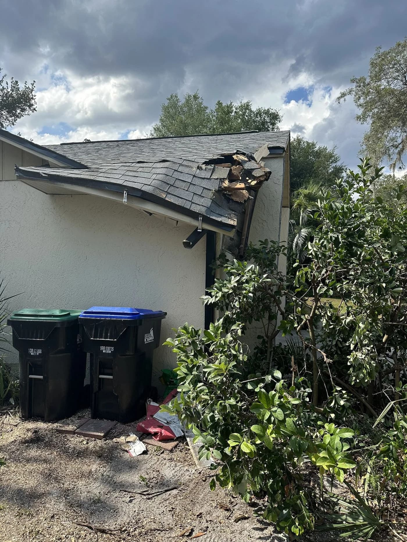 Roof Repair