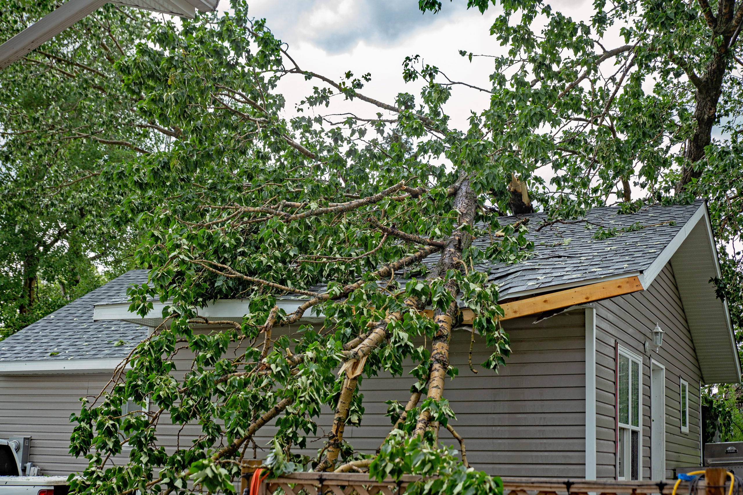 A fallen tree on a residential roof following a hurricane