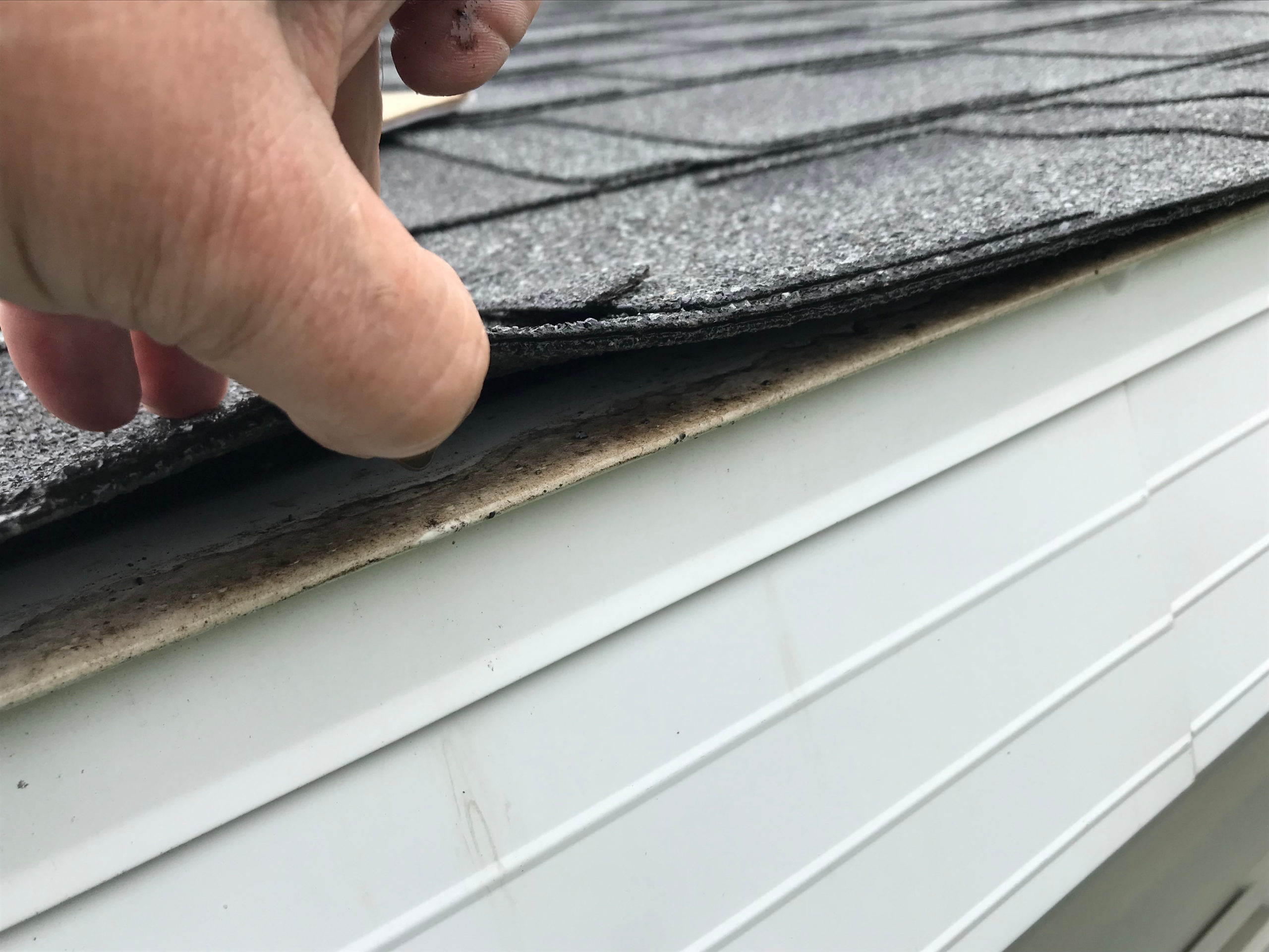 A roof contractor performs an inspection on a roof that was damaged during a storm. The photo is a closeup of the worker looking underneath raised shingles.