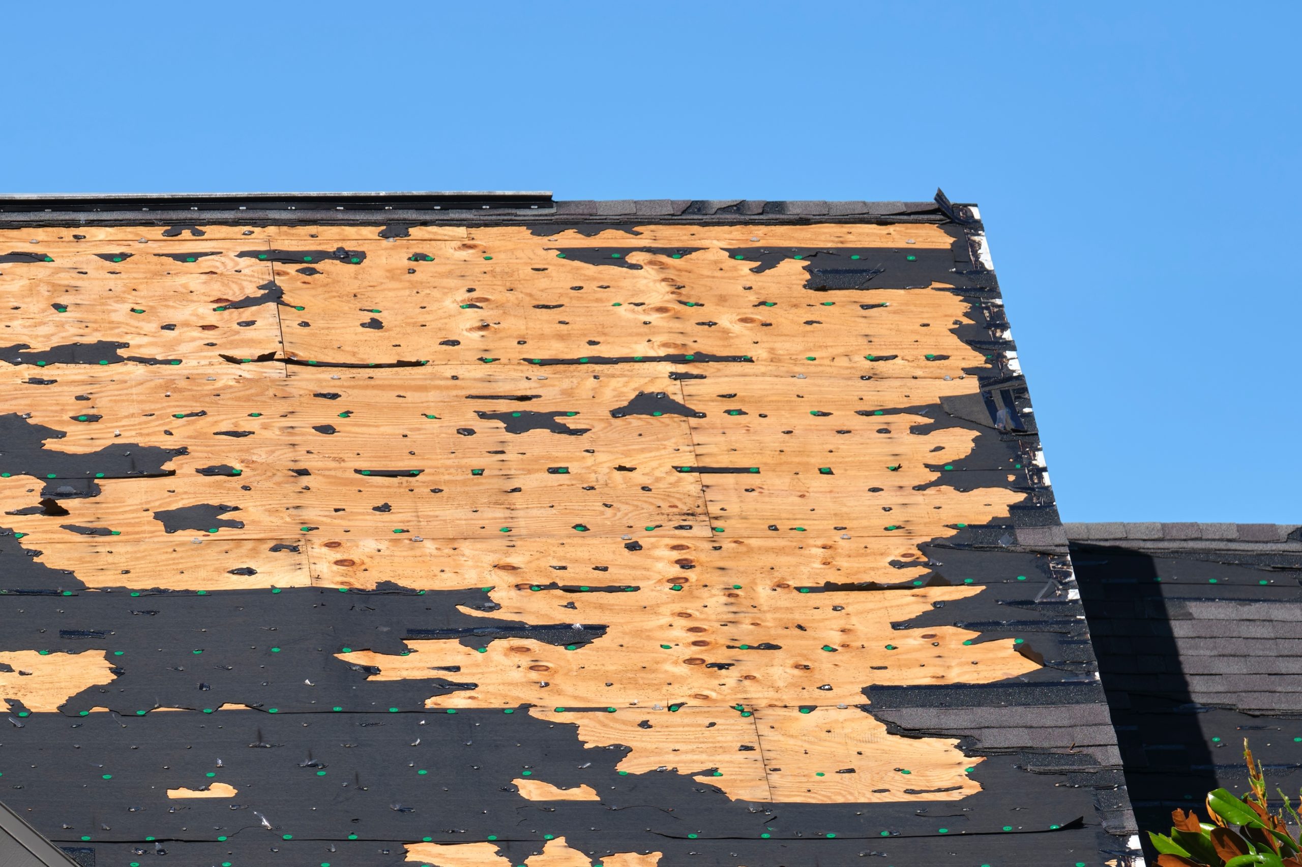 A home roof that is missing a wide swath of shingles as a result of a passing hurricane.