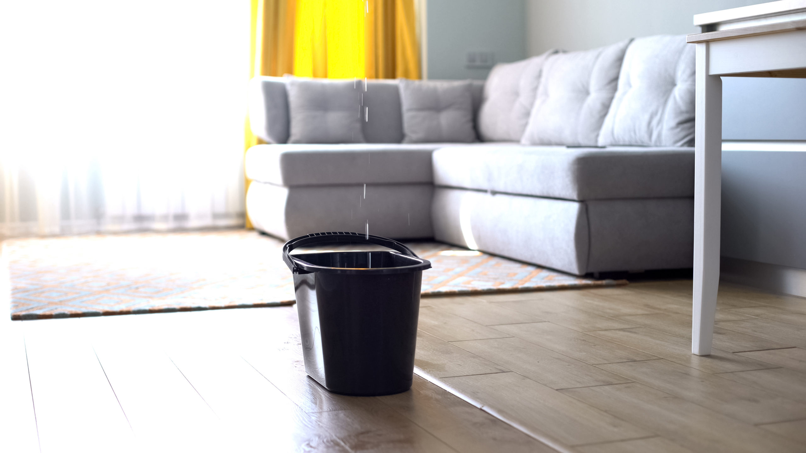 A bucket catches water leaking down from the ceiling and into the living room.