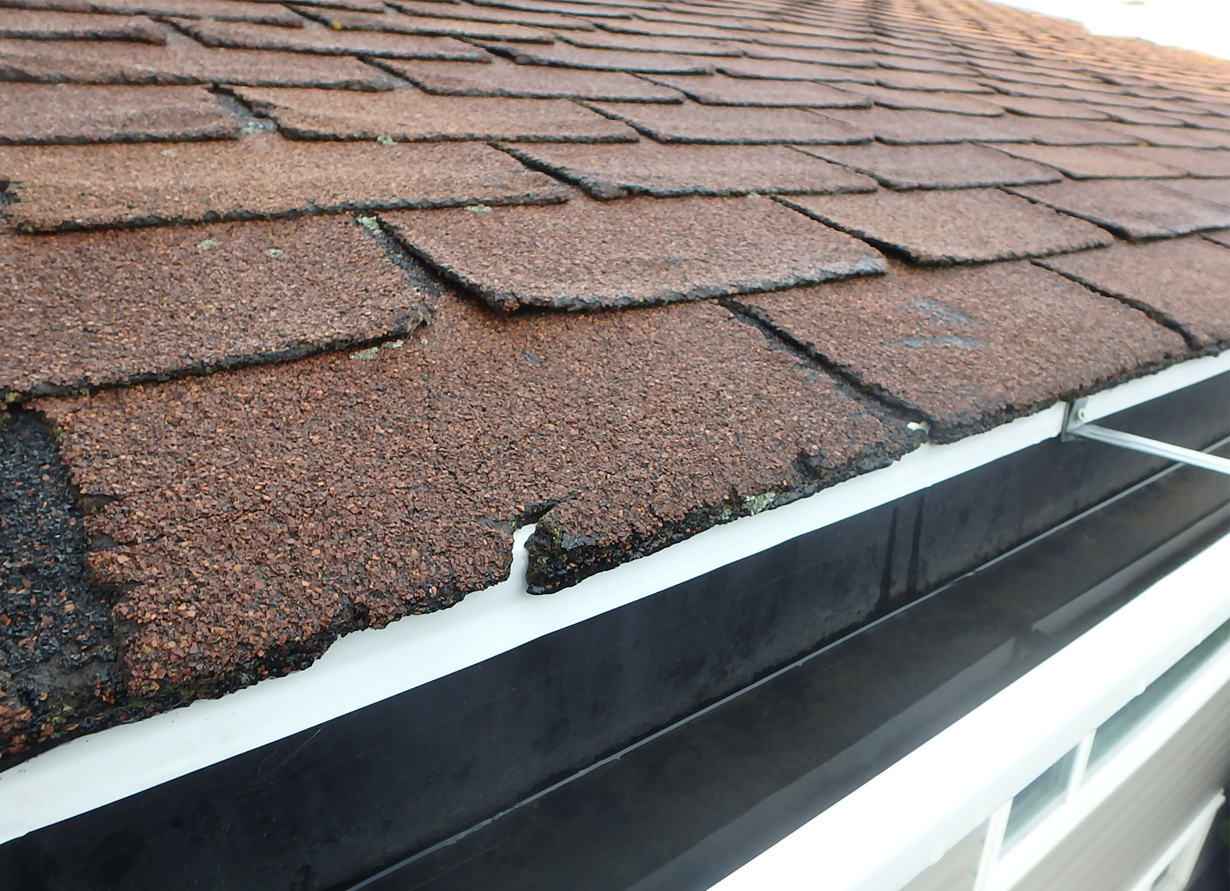 Roof damage caused by hail is common in Florida
