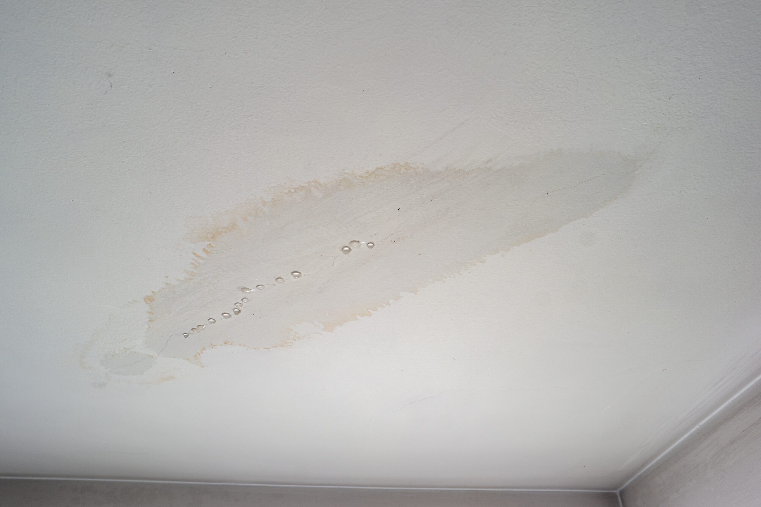 roof, roof leak, roof repair, minor leaks