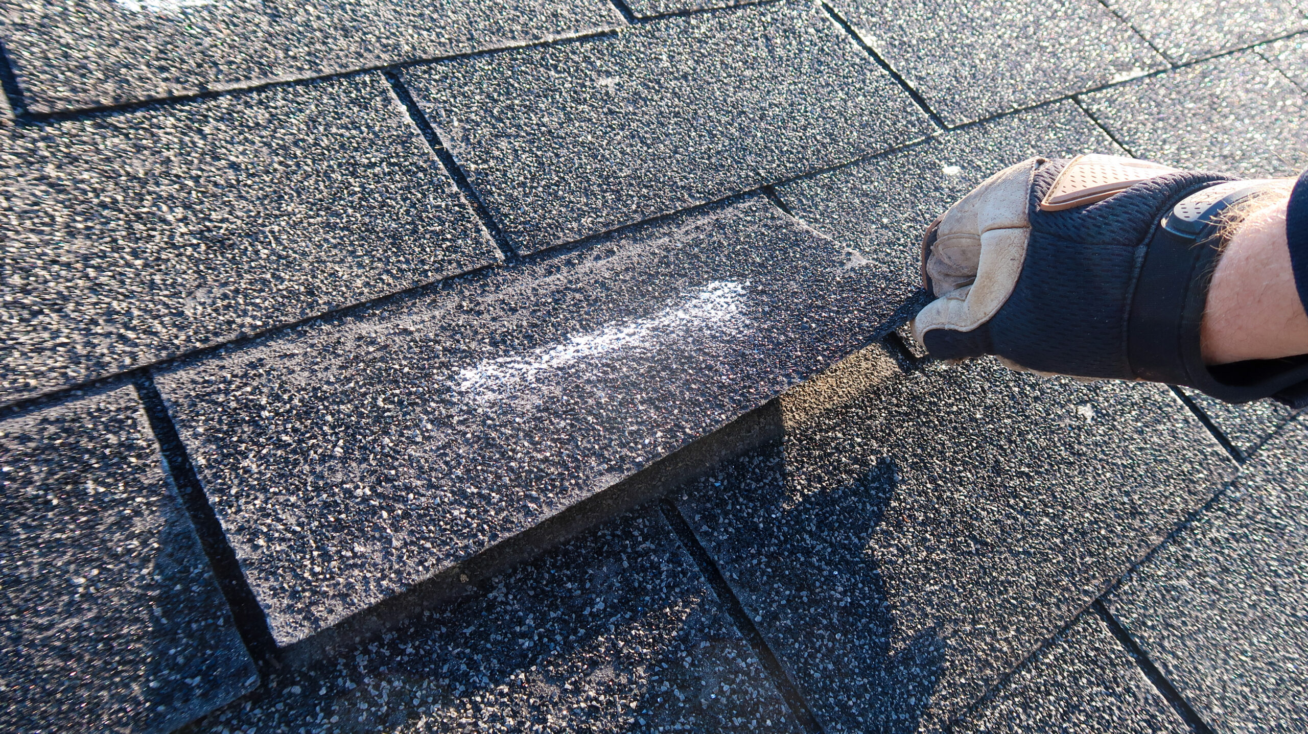 Universal Roof & Contracting contractor holding damaged asphalt shingle on St. Petersburg home