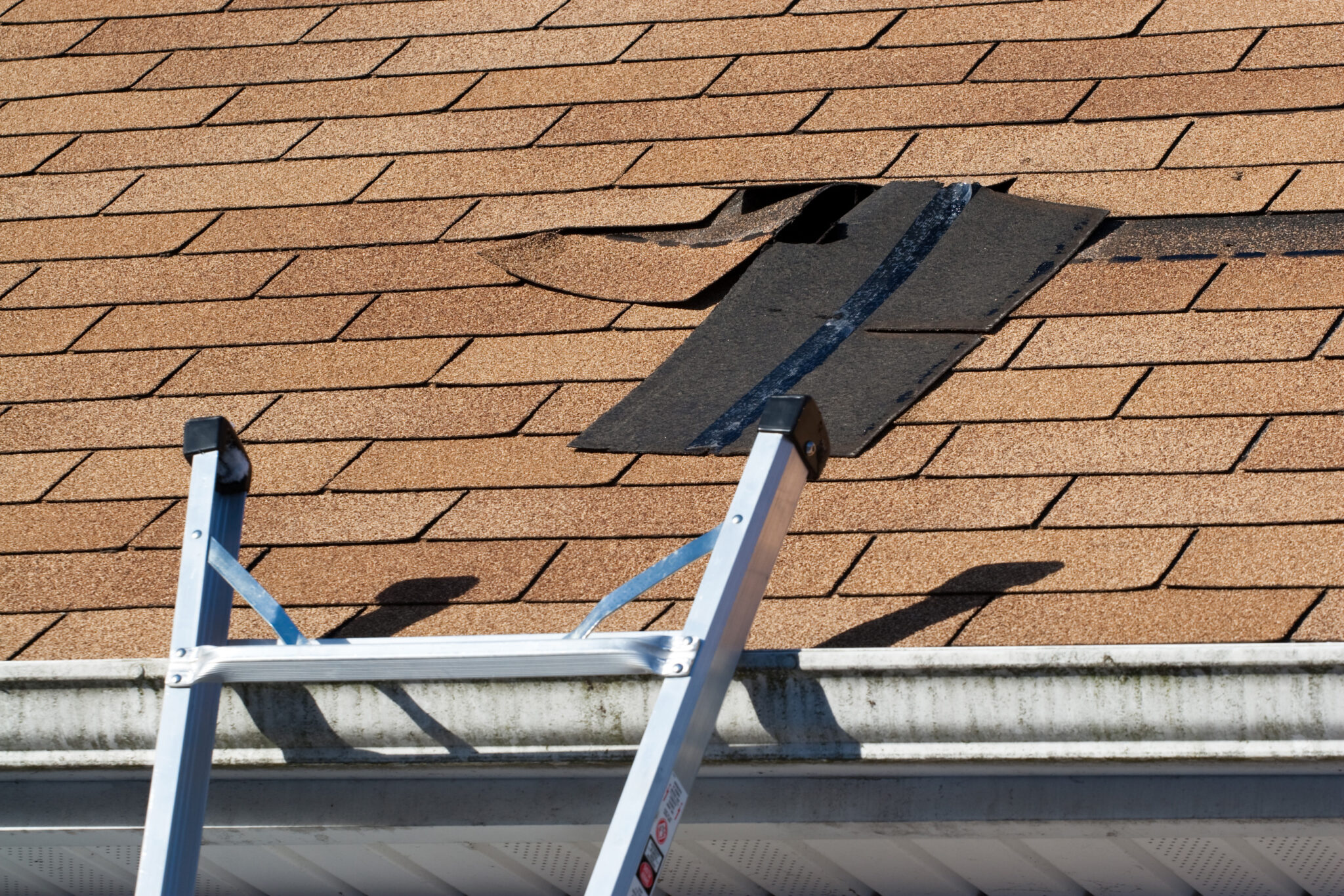 Torn shingles on asphalt shingle roof