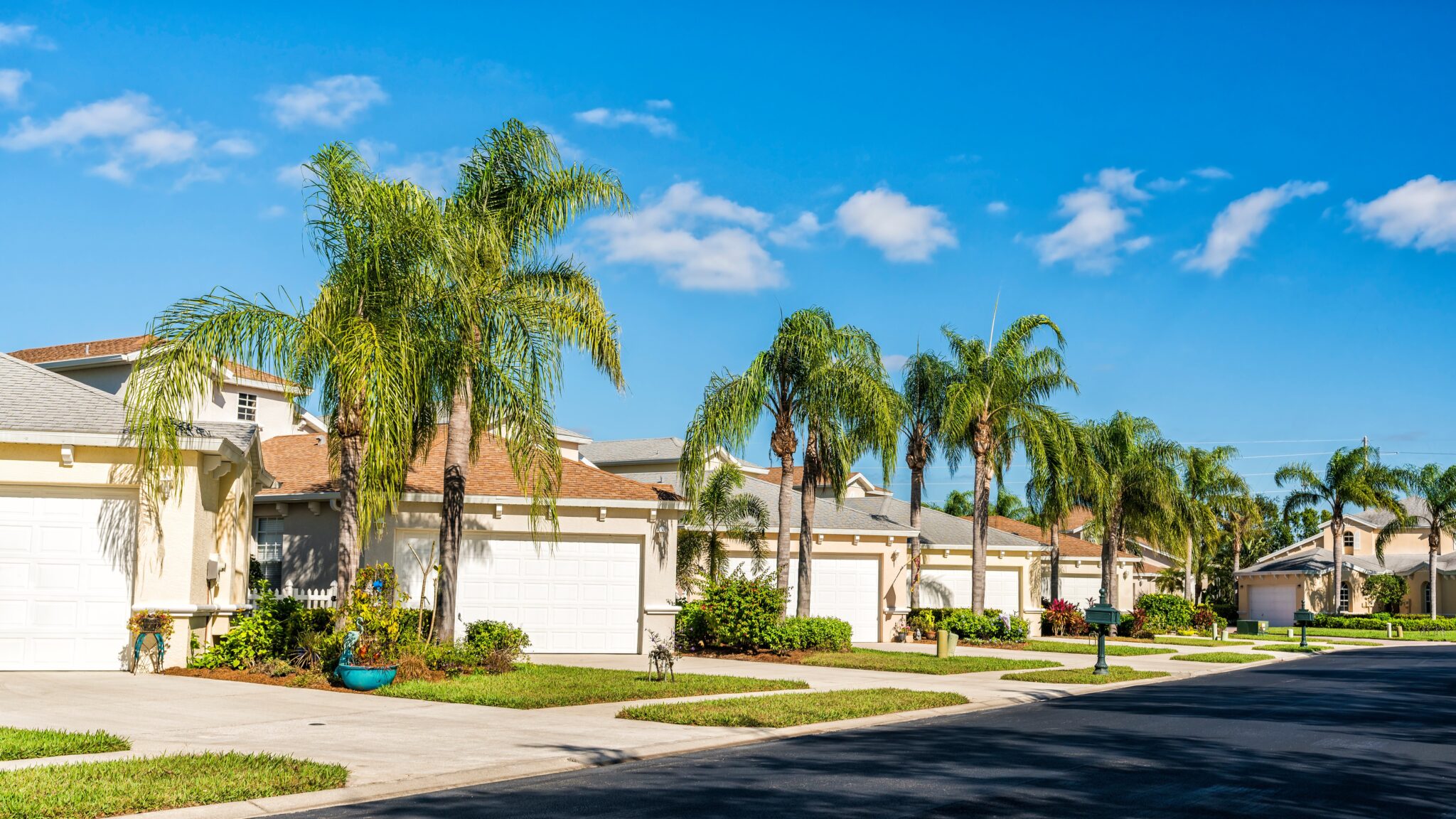 Central Florida neighborhood with homes with asphalt shingle roofing and palm trees