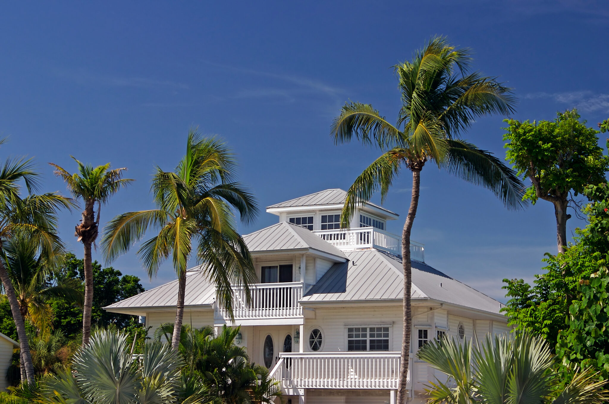 House in Central Florida with metal roof, surrounded by palm trees