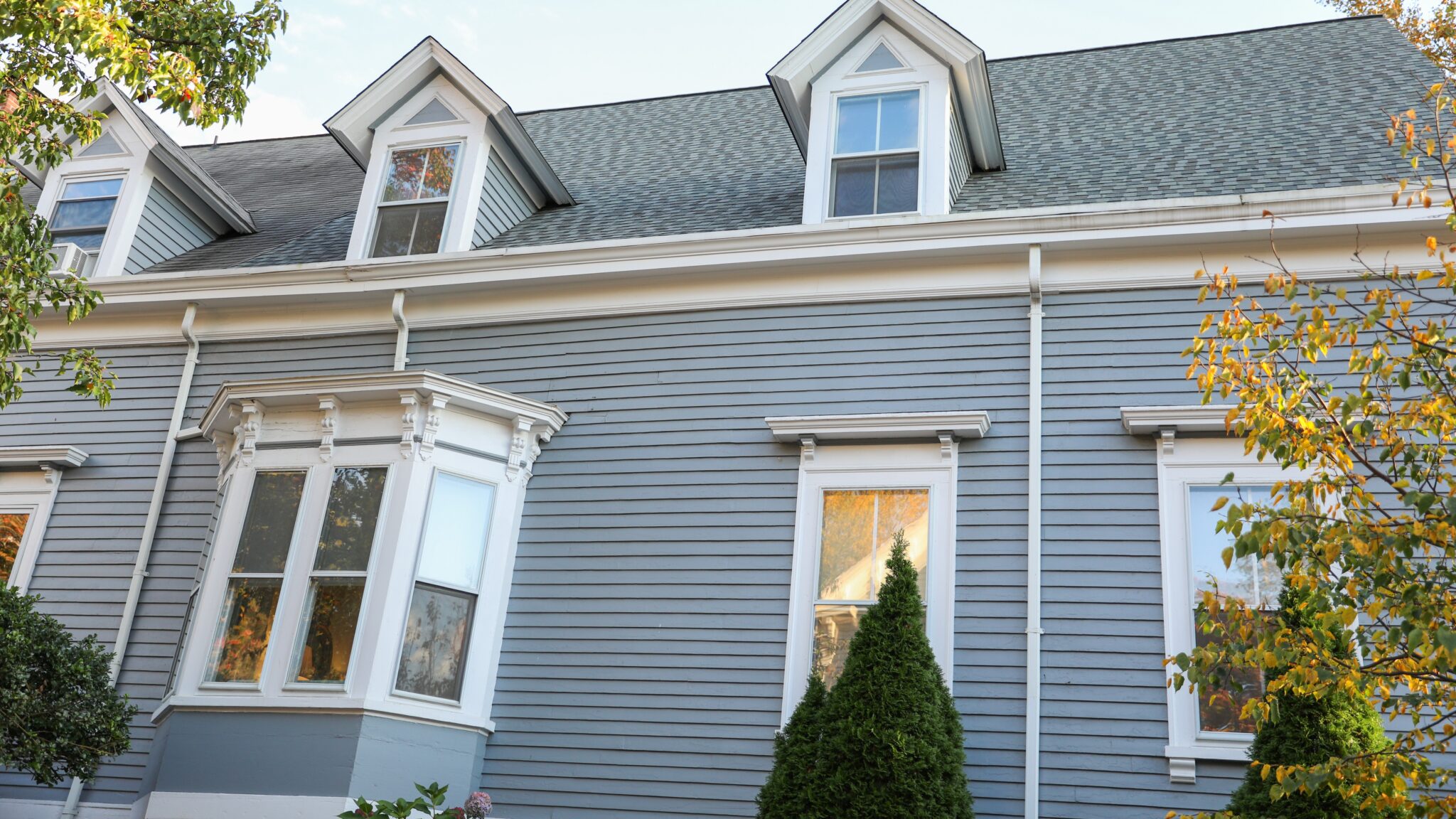 Home with pale blue siding, lots of different types of windows, and an asphalt shingle roof