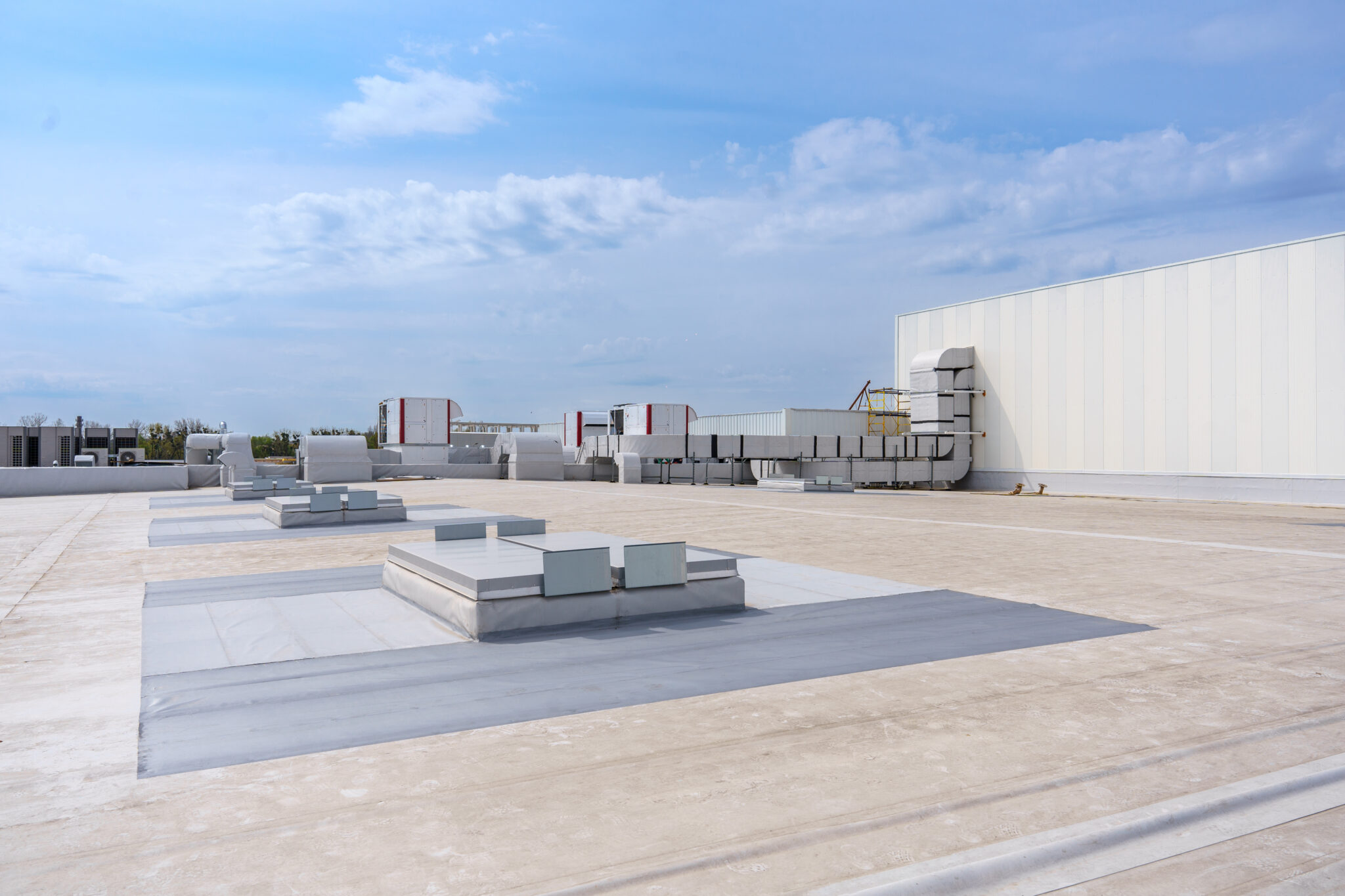 A close-up view of a flat commercial roof.